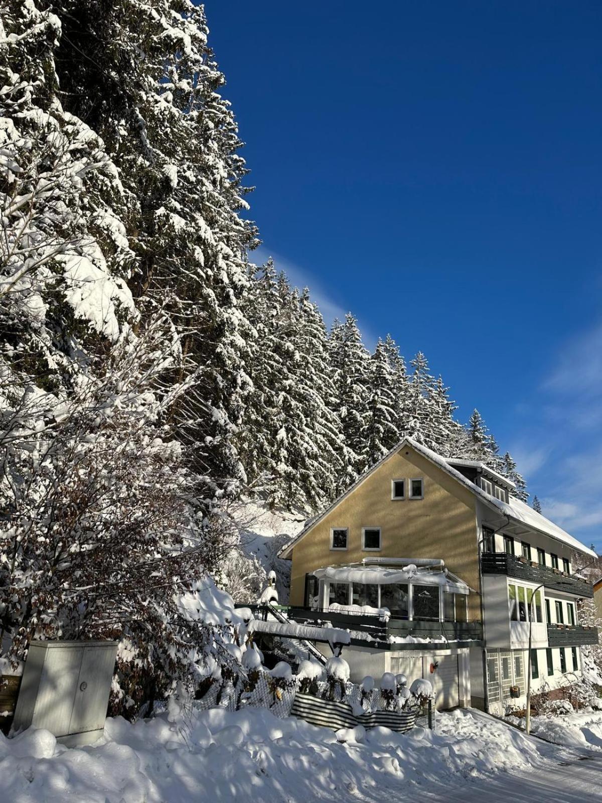 Haus Georgenhoehe فيلديمان المظهر الخارجي الصورة
